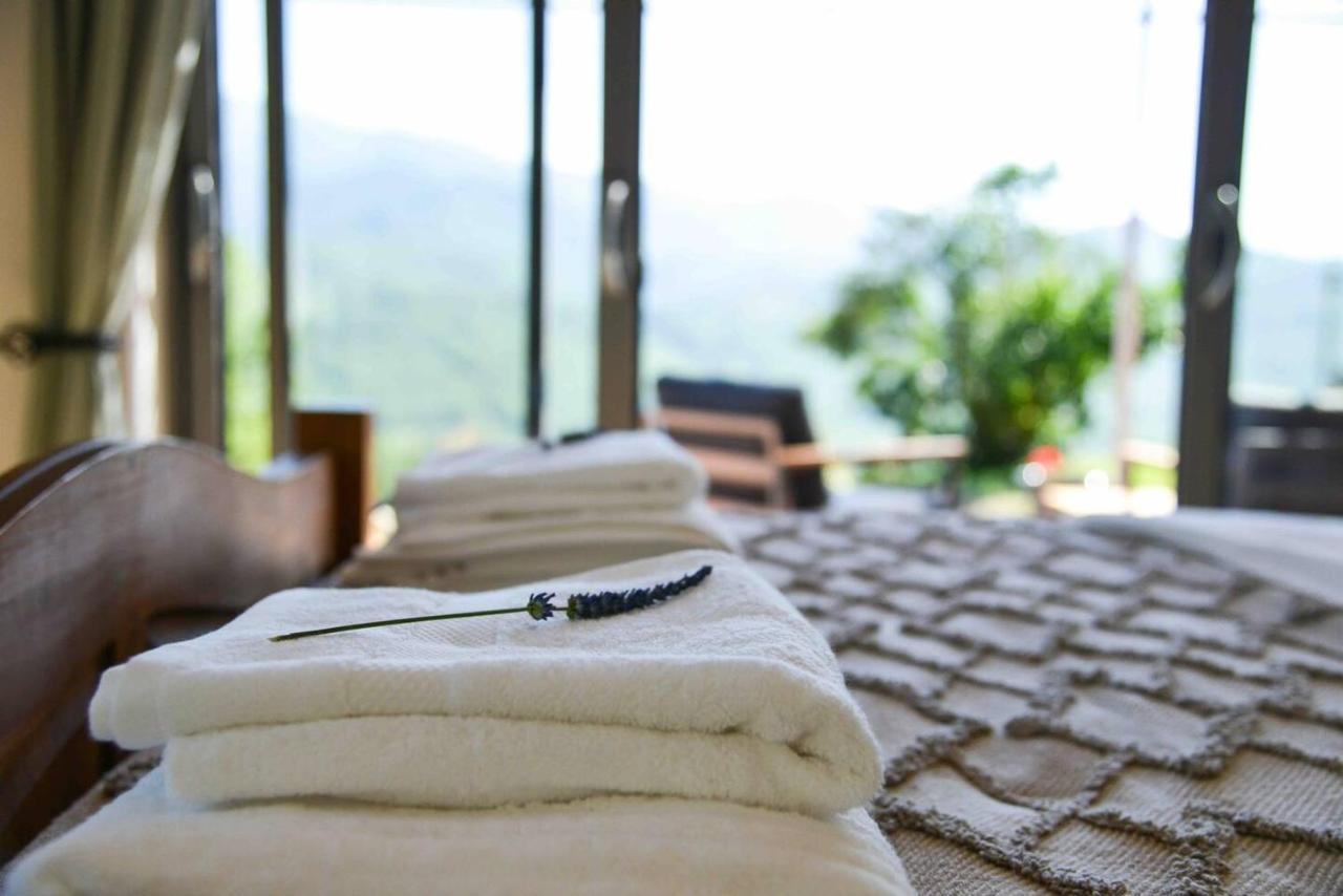 Mountain Hikers Luxury Retreat In Roquefixade Villa ภายนอก รูปภาพ